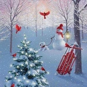 Meet your Posher, Paula